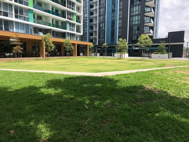 Public domain works with turf and concrete paths outside new apartments