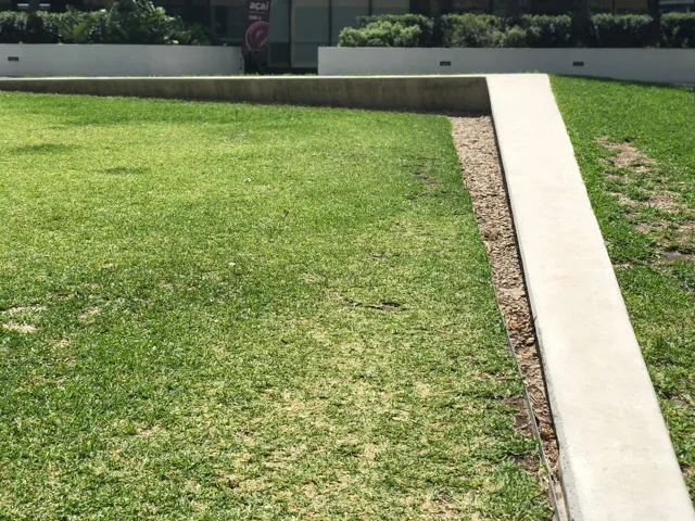Concrete edge strip bordering new turf